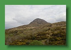 Connemara (253)